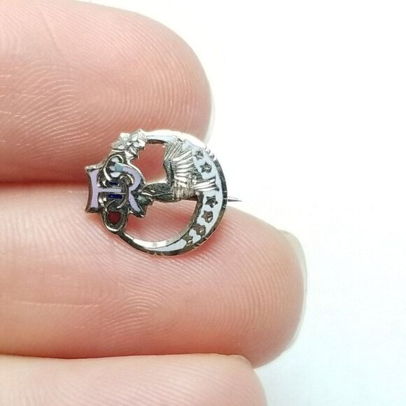 Vintage Daughters of Rebekah I OOF Enameled Pin Brooch, Crescent Moon, Bird - Picture 6 of 6